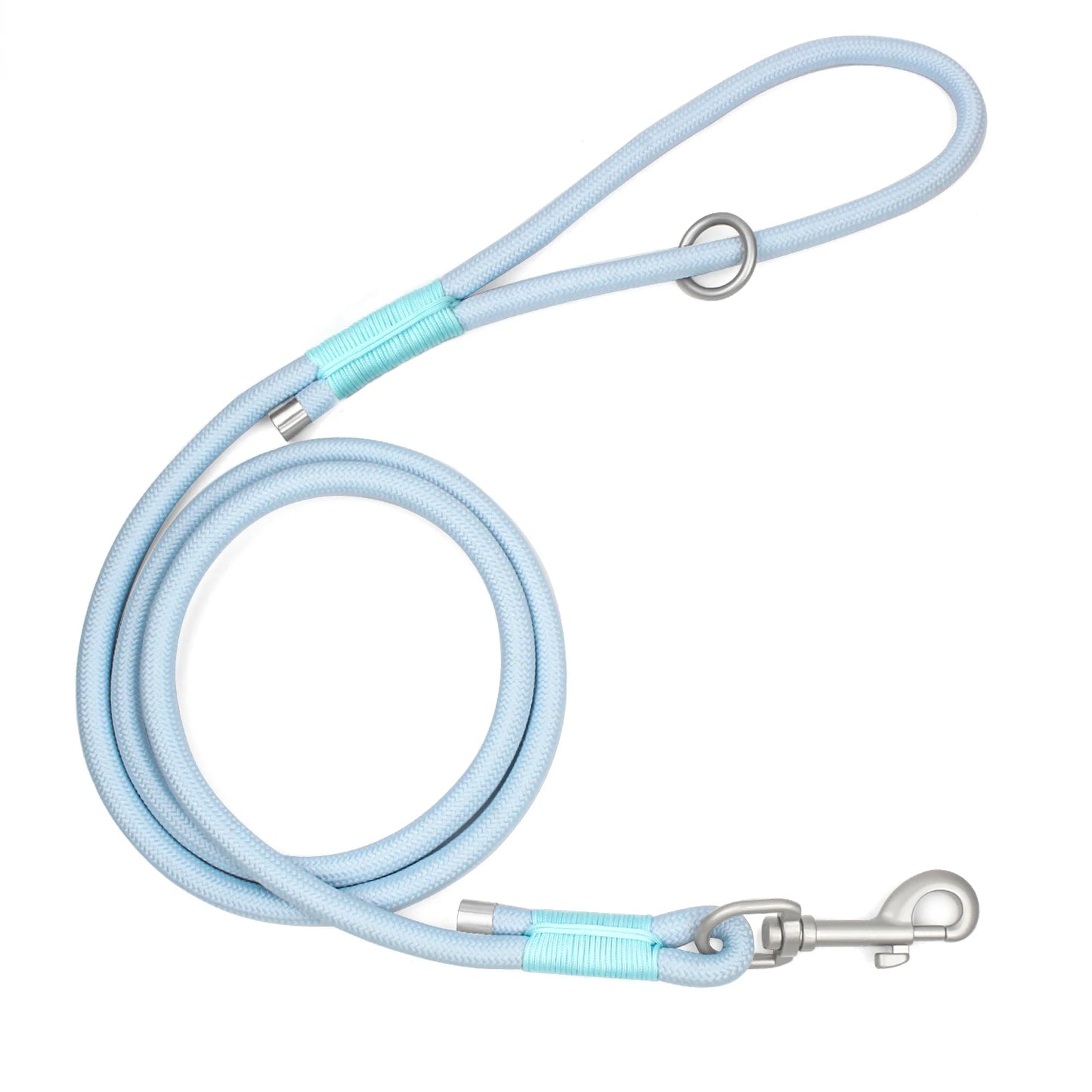 Everyday Nylon Leash