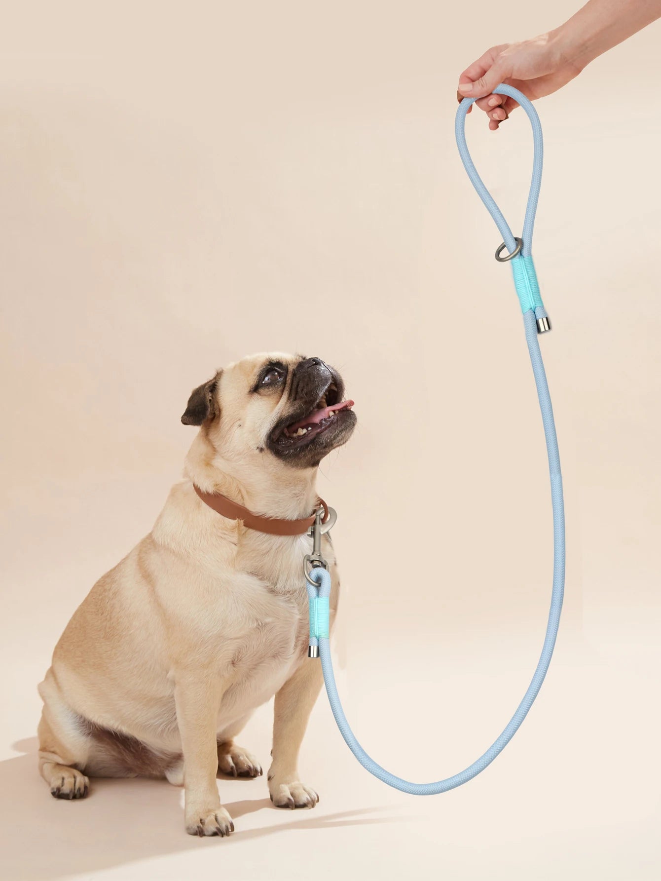 Everyday Nylon Leash