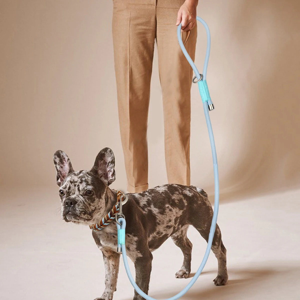 Everyday Nylon Leash